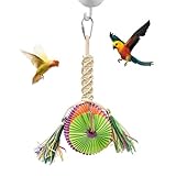 Vogelspielzeug für en, Vogelausbildung Spielzeug - Kauer Kleiderbügel hangable -Puzzlespielzeug | Kleines Tieraktivitätsspiel lustiges Sittichepapier für Sardellen Cockatiel