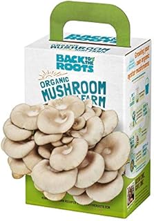 Back to the Roots Organic Mini Mushroom Grow Kit, Harvest Gourmet Oyster Mushrooms In 10 days, Top Gardening Gift, Holiday Gift, & Unique Gift