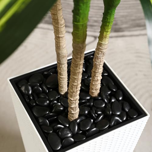 Fopamtri Artificial Dracaena Tree Decorative Plant 180 cm Artificial Plants Indoor, Tropical Fake Plant with White Tall Planter UV Resistant for Outdoor House Office Garden Decoration (1 Pack) - Cosy Home Interiors Fopamtri Artificial Dracaena Tree Decorative Plant 180 cm Artificial Plants Indoor, Tropical Fake Plant with White Tall Planter UV Resistant for Outdoor House Office Garden Decoration (1 Pack) - Image 5