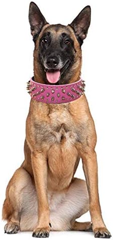 Serijoars Spiked Studded Dog Collar, Adjustable for Medium & Large Breeds