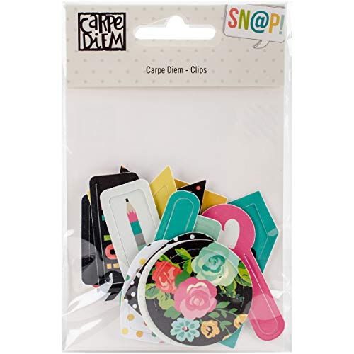 Carpe Diem Decorative Shaped Plastic Clips 16/Pkg-
