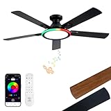 52" Ceiling Fans with Lights,Bluetooth Ceiling Fan with Speaker,6-Speed Reversible Motor,Full-Spectrum Adjustable Lighting,Edge Ambient Lights,Low Profile Ceiling Fan with Light and Remote/App Control