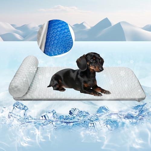 GeerDuo Cooling Mat with Pillow
