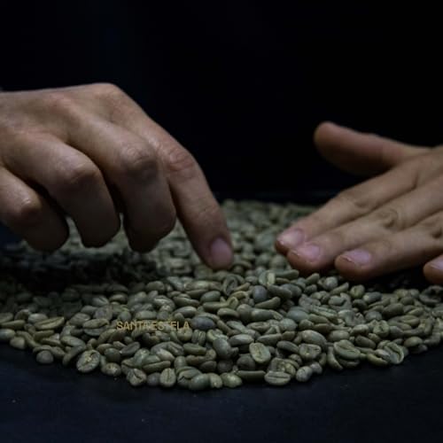 Peru Finca Santa Estela Green Beans