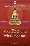 lama ole nydahl español  Von Tod und Wiedergeburt
