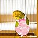 balacoo Bird Flight Suit Reusable Parrot Diaper for Parakeets Cockatiels Lightweight Stylish Bird Clothing Creative Design for Easy Wear Pet Supplies