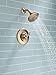 Delta Faucet Linden 14 Series Single-Function Shower Trim Kit with 5-Spray Touch-Clean Shower Head, Champagne Bronze T14294-CZ (Valve Not Included)