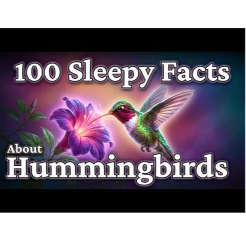The Most Relaxing Facts About Hummingbirds_ The Only Bird That Can Fly Backward