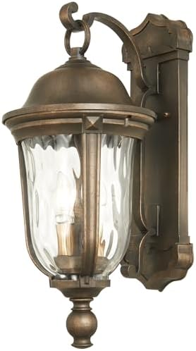 Havenwood 21 3/4" H Tavira Bronze and Alder Silver Outdoor Wall Light