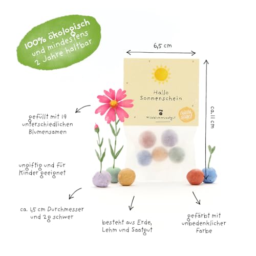 Nachhaltiges Mitbringsel: 5 bunte Blumenmurmeln | Farbenfrohe Seedbombs mit Wildblumensaatgut | Geschenk für Freunde, zur Aufmunterung, als Dankeschön & Sonnige Grüße | 100% ökologisch