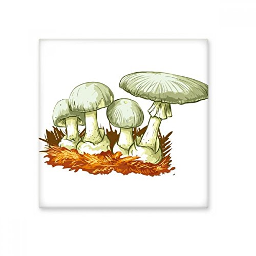 Céramique bisque carrelage illustration fraîche champignon décor - 2