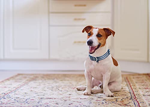 Petiry Reflective Nylon Dog Collar With Soft And Comfortable Neoprene Padding,Adjustable For Medium Dogs.(Neck 13"-18.9",Blue) #TOP1