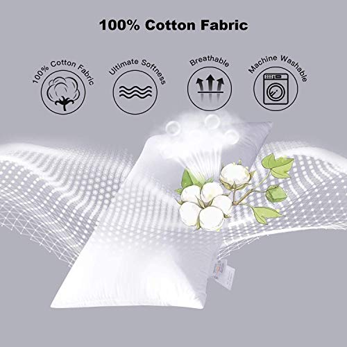 Comfort Bedding Collection Bed Skirt Queen Size 100% Organic Cotton 800Tc Premium Tailored Fit 1Pc Bedskirt Queen Size 12" Drop Length White Solid. #TOP4