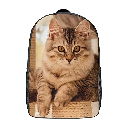 Sac à dos d'école chat anti-usure 17 pouces pour ranger toutes les affaires sans déchirure