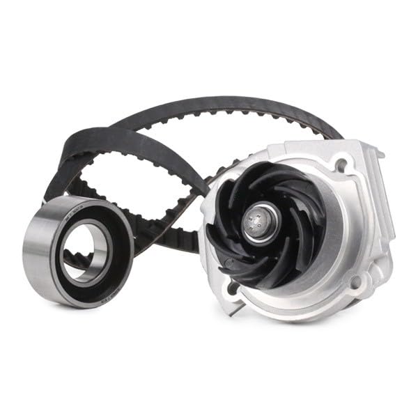Ina 530009010 Kit Tendicinghia