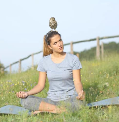 How to Quiet the Mind in Meditation