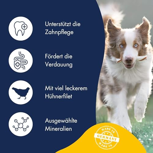 Dr. Clauders Dog Snack Dental Huhn Large Breed 500 g