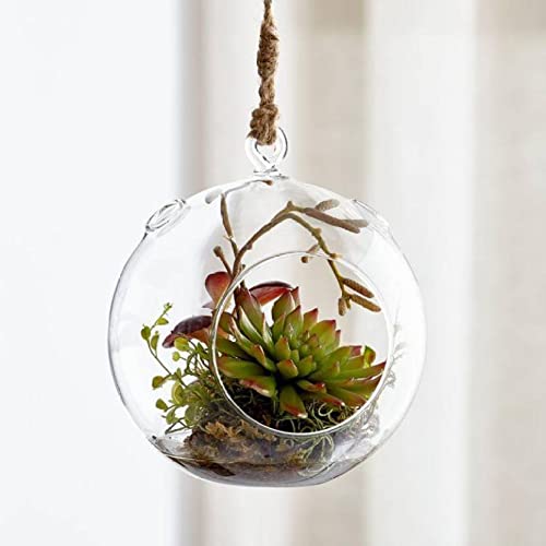 Virya Hanging Glass Planters for Indoor/Outdoor Decoration, Clear Borosilicate Glass, Pack of 1 2