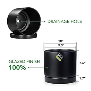 Aveyas 10 inch Ceramic Plant Pot with Drainage Hole and Saucer - Suitable for Indoor and Outdoor Use, Modern Planters for House Garden Flower Tree Snake Monstera Plants (10", Matte Black) Aveyas 10 inch Ceramic Plant Pot with Drainage Hole and Saucer Suitable for Indoor and Outdoor Use Modern Planters for House Garden Flower Tree Snake Monstera Plants 10 Matte Black