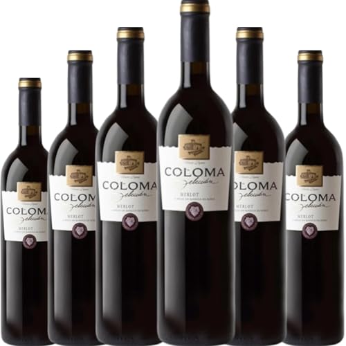 Coloma Selección Merlot, vino tinto joven con crianza en roble que destaca por su suavidad, equilibrio y la expresión sedosa de la variedad Merlot| 6 botellas
