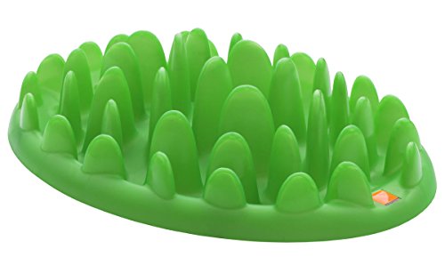 Karlie 44079 Ciotola Anti Ingozzamento Northmate, Verde