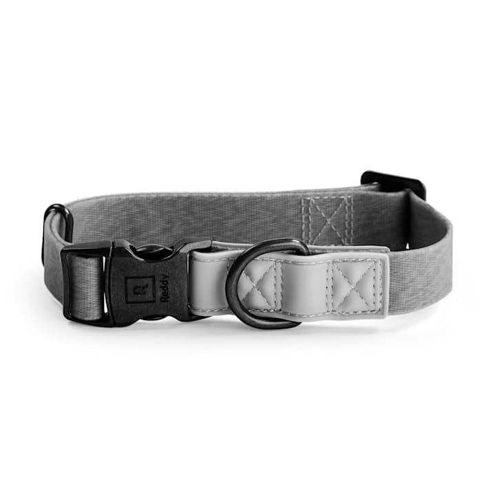 Image of Reddy Grey 3-Piece Walking Kit for Dogs, Medium