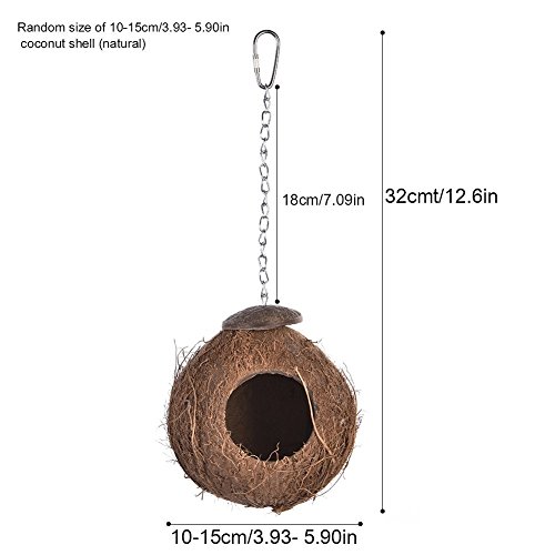Hypeety Pet Bird Breeding Nest Coconut House Swing Ladder Toys Parrot Parakeets Finches Hamster House Natural Nest Lovebird Cage Hanging Swing Perch (B:coco Hanging Toy) #TOP2