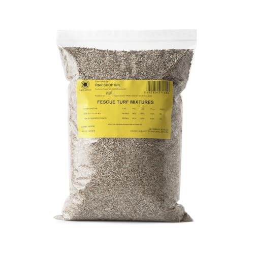 R&R SHOP - Semillas para Césped, Festuca Arundinacea, Resistentes y Duraderas (1.5Kg - 60Mq)