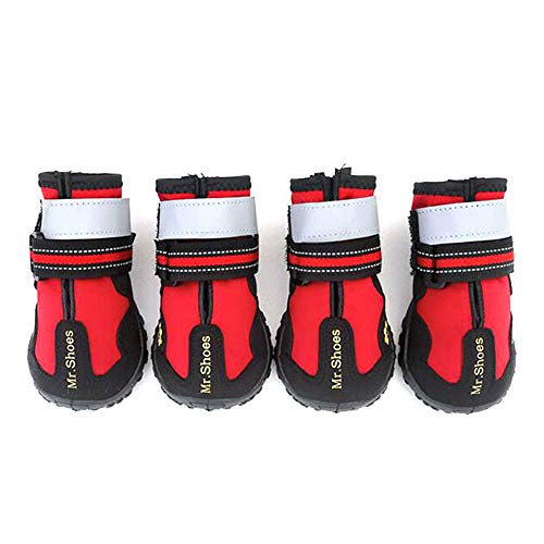 Chaussures pour chiens imperméables et réfléchissantes pour la pluie