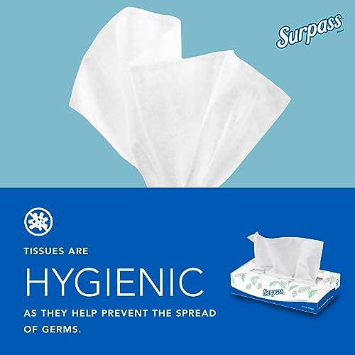 Image of Surpass Facial Tissue, Bulk (21390), 2-Ply, White, Flat Boxed Format, Ecologo, Designed for Business (125 Tissues /Box, 60 Boxes, 7,500 Sheets /Case)