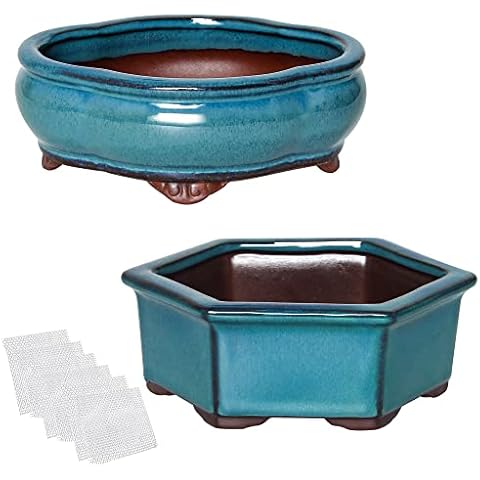 Happy Bonsai Small Succulent Pots Set Cover