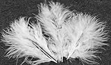 Décoration de Noël. Sachet de 20 plumes 10 cm 