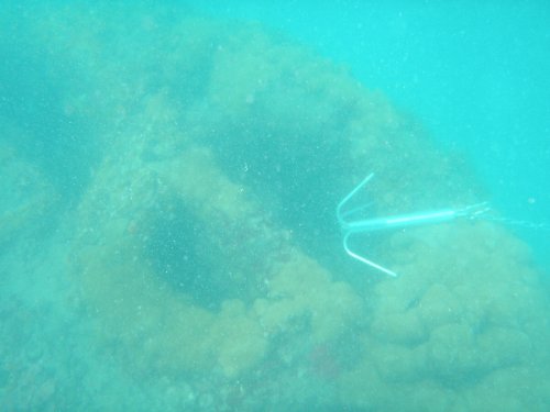 The Grappler Anchor- Medium #TOP3