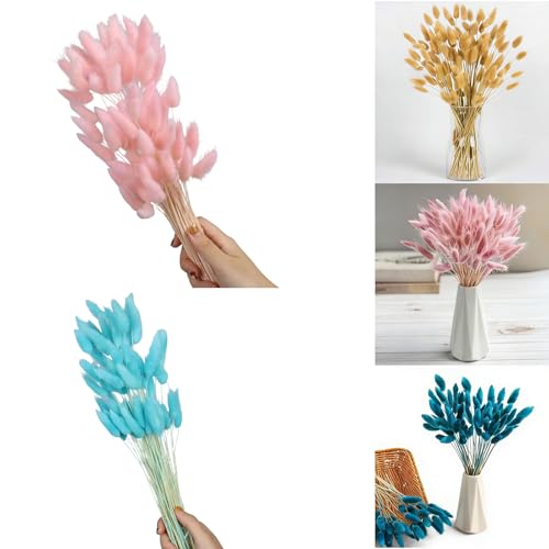 60 flores secas de cola de liebre natural para decoración miniatura 2
