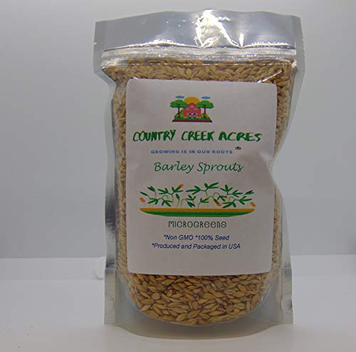Whole Barley Seeds for Barley Grass Microgreen Juice Sprouting Seeds 2 Oz Resealable Stand up Pouch Used for Malt for Beer Brewing Malting