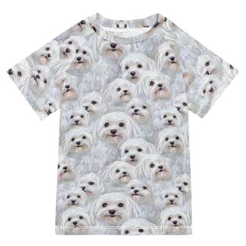 KLL Boy Bathing Suit Short Sleeve Rashguard Girls 4T Funny Maltese Dogs A River