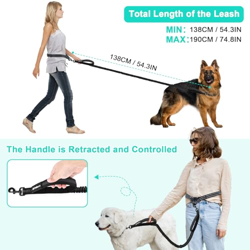Philorn Joggingleine für Hunde, Freihändig Laufleine für Große/Mittelgroße Hunde zum Joggen Laufen Wandern, Bauchgurt Hundeleine mit Dual Griffe, Reflektierende Nähte, Bauchgurt Schwarz
