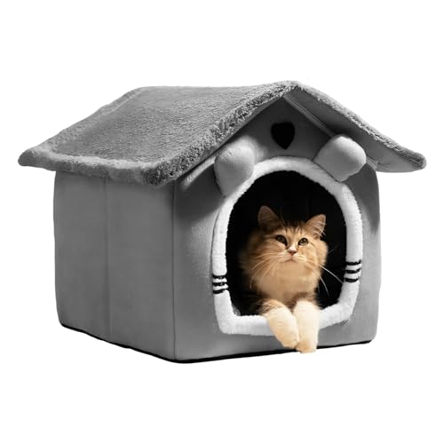 Huvqianu 킢 L xbh | ۉ \ O\pbht - LpP[uxbh nEX - qEqLEybgE^EEETMp EO rO[EoRj[EAp[gEItBXEK[f