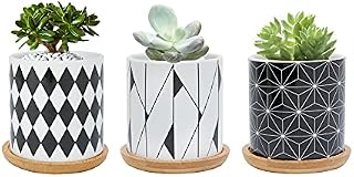 Warmplus 7.5CM Succulent Plant Pot, Ceramic Geometric Pattern Cactus Plants Pot, Small Plant Pots for Indoor Outdoor Plants with Bamboo Tray, and Great for Home Office Decor, Set of 3