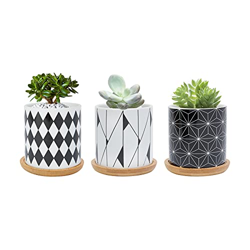 FORAGIFT 7.5CM Succulent Plant Pot, Ceramic Geometric Pattern Cactus Plants Pot, Small Plant Pots for Indoor Outdoor Plants with Bamboo Tray, and Great for Home Office Decor, Set of 3