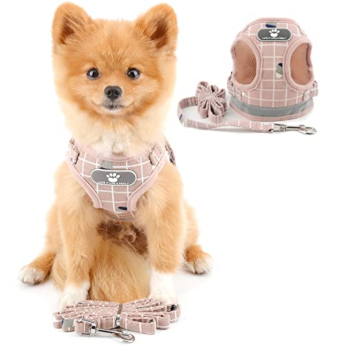 PAIDEFUL Plaid Mesh Harness for Small Dogs Large Cats No Pull No Choke Escape Proof Soft Vest Padded Vest Puppy Leash Lead for Kitten Walking Adjustable Comfy Jacket Chihuauha Training