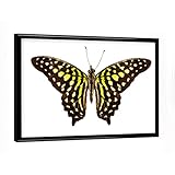 Format: 18x13 cm Poster mit schwarzem Rahmen | Belichtung auf hochwertigem Fotopapier (233 g/m²) | Großartige Qualität made in Germany