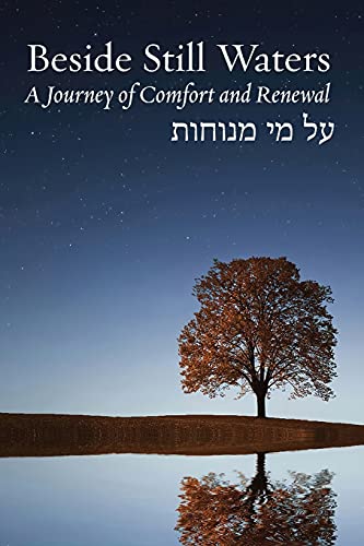 Beside Still Waters: A Journey of Comfort and Renewal (Bayit: Building Jewish)