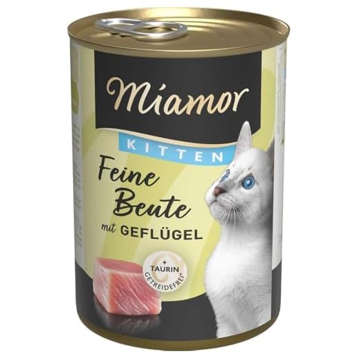 MIAMOR - Feine Beute Kitten