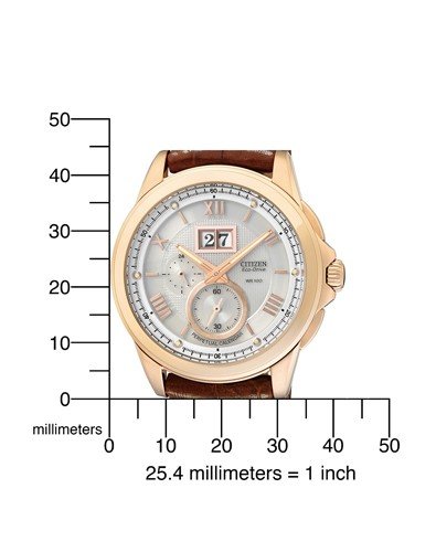 Citizen Herrenuhr Twin Date BT0008-05A