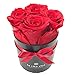 Produktbild LA VITA VIVA Rosenbox mit 4 konservierten roten Rosen Rund