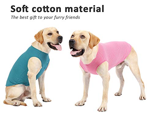 T-shirt en coton pour chien Weone vert rose rayé vêtement taille M