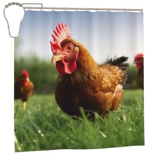 Rideau de douche amusant poulet pour égayer votre salle de bain en hiver - 3
