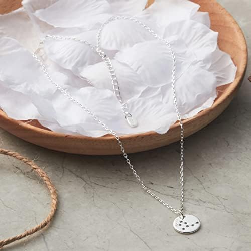 Philip Jones Pisces Zodiac Star Sign Disc Necklace Created with Zircondia® Crystals