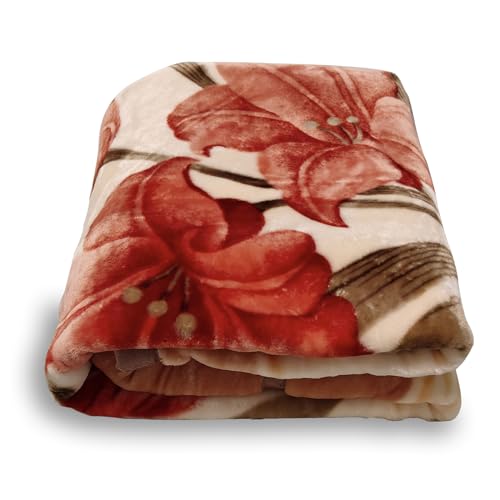 5.5 lbs Heavy Korean Mink Blanket, 2-Ply Silky Soft Plush & Warm,59"×79" Blanket for Couch & Bed.